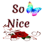 So nice! - getsticker.com - Stickers for WhatsApp and iMessage ...